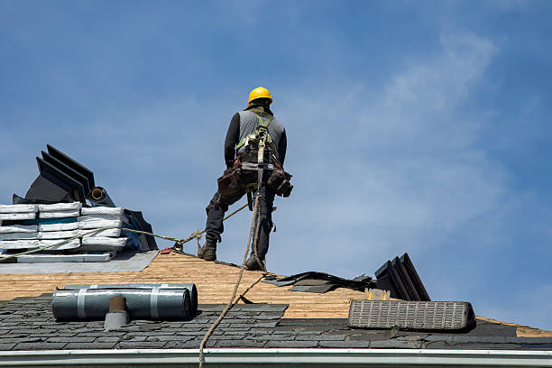 Professional Storm Damage Roof Repair technician working in Nielsville, MN